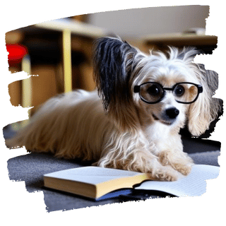 Theorieprüfung_kt_Zuerich