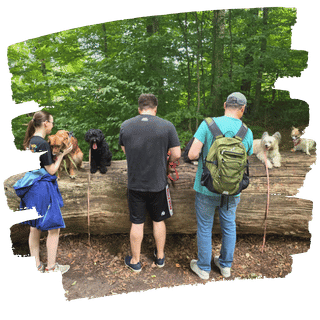 Hundetrainerin erklärt während des Gehens einer Halterin etwas