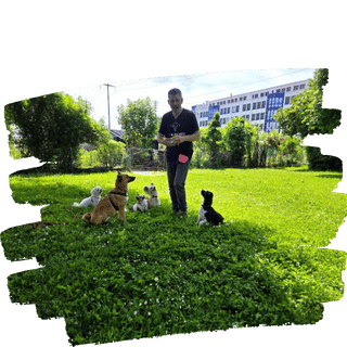 Darling Dogs Hundezentrum Standort