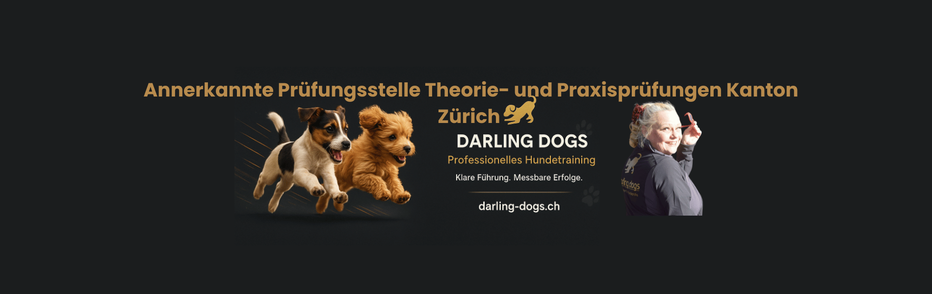 Darling Dogs Banner